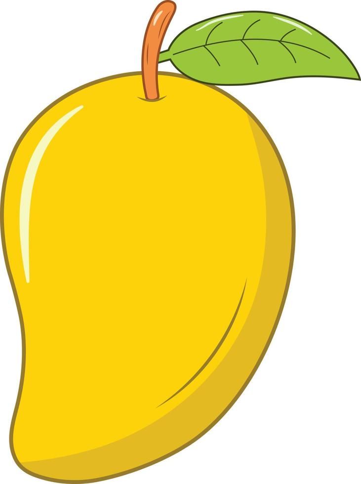 Flashcard Image