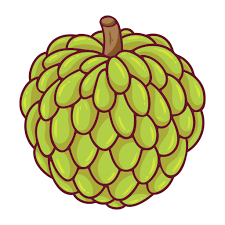 Flashcard Image