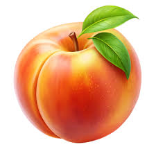 Flashcard Image