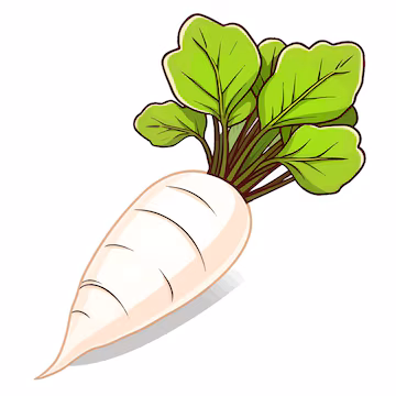 Flashcard Image