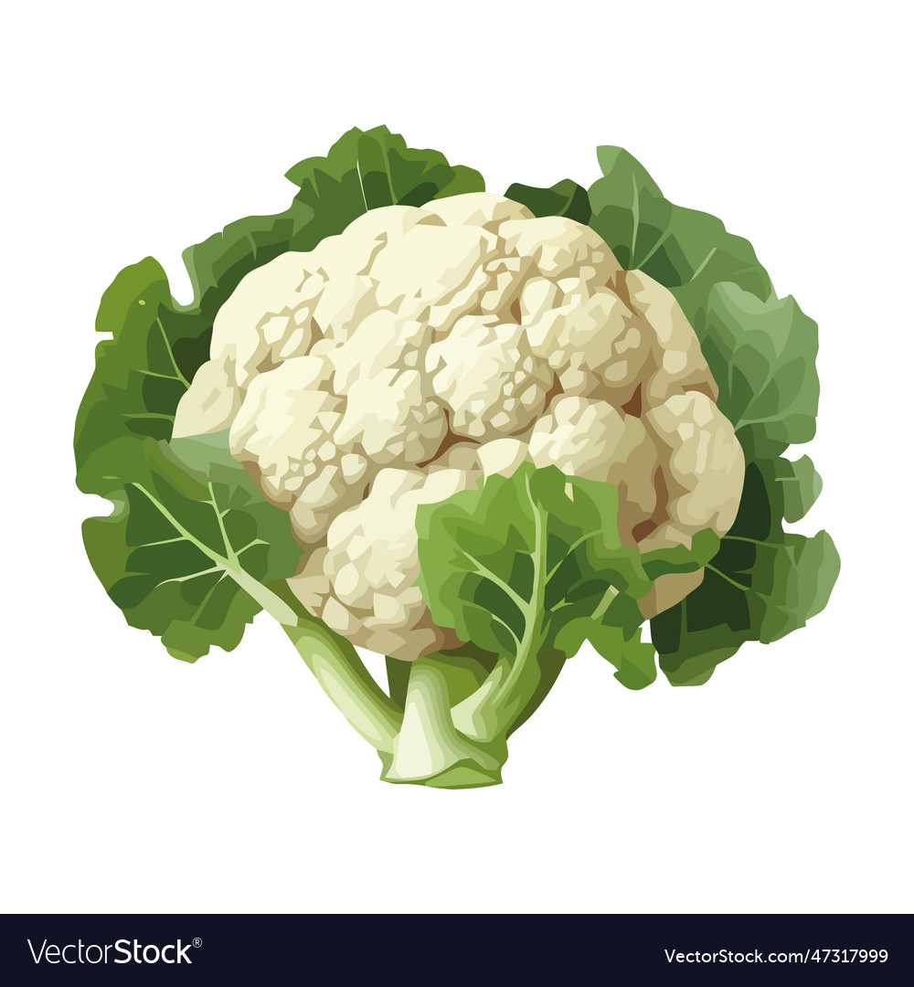 Flashcard Image
