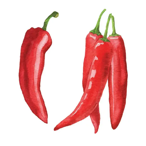 Flashcard Image
