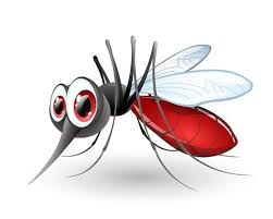 Flashcard Image